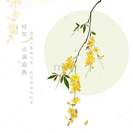 手绘桂花