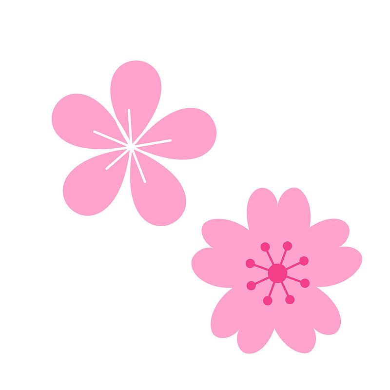 春天植物粉红色花朵春季樱花桃花