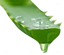正在滴落的芦荟汁素材
