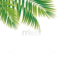 绿色热带植物卡通插画