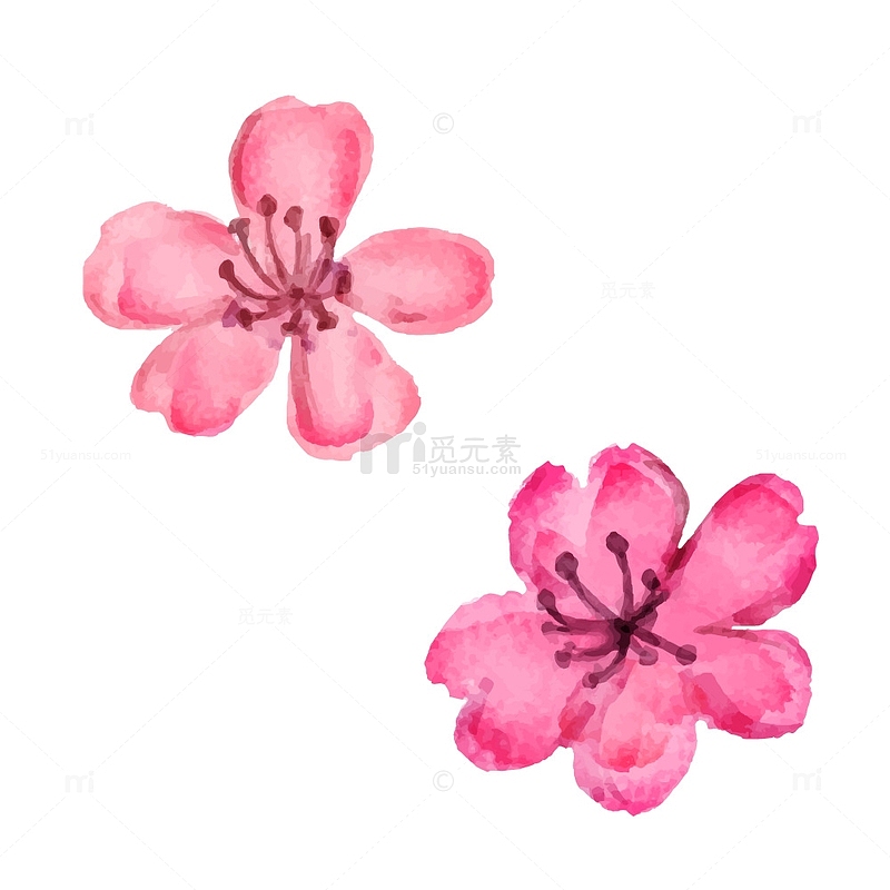 水彩花朵唯美春季樱花桃花素材