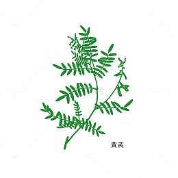 中药材黄芪