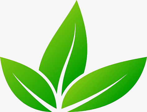 绿色盆栽png手绘绿色卡通小树png手绘绿色树叶合集png植树节清新手绘