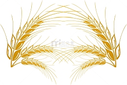 金色青稞植物矢量图