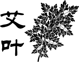 艾叶手绘黑白药材