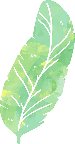 热带植物棕榈叶水彩画
