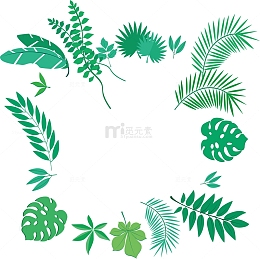夏日绿色树叶边框