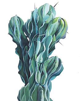 手绘仙人掌油画