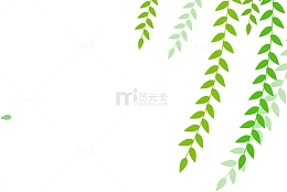 绿色春季美丽柳条