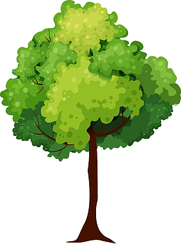 参天大树pngpng生命之树pngepspng描线参天大树矢量图pngpng千年古松p