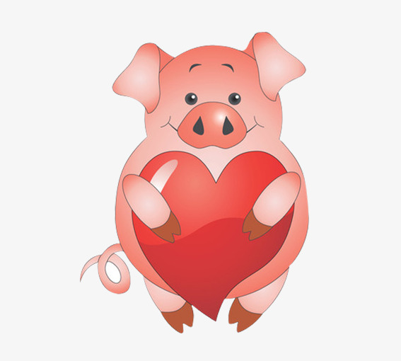 抱着心的小猪猪