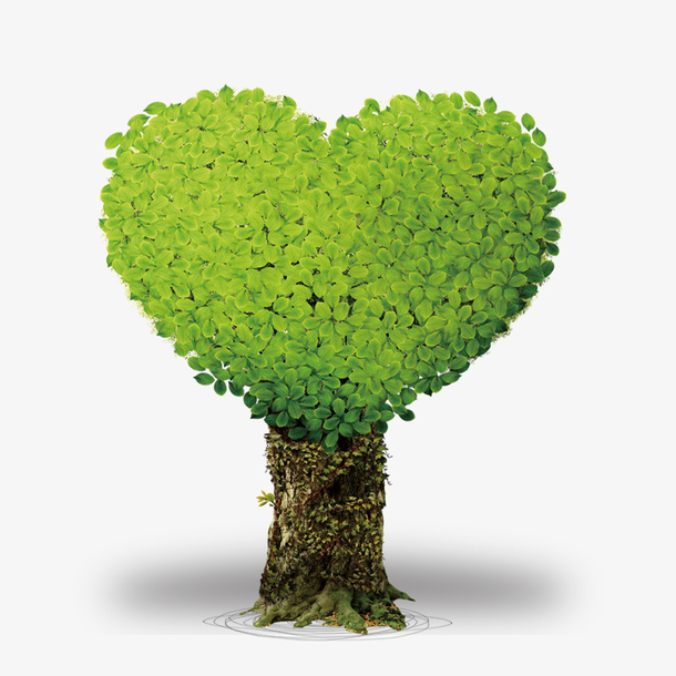 心形树木装饰