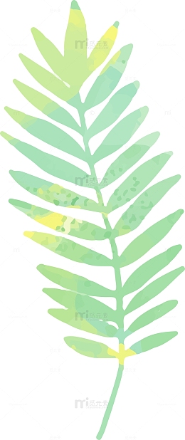卡通植物叶子素材图
