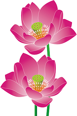 矢量莲花
