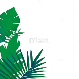 简易手绘热带雨林插图边框