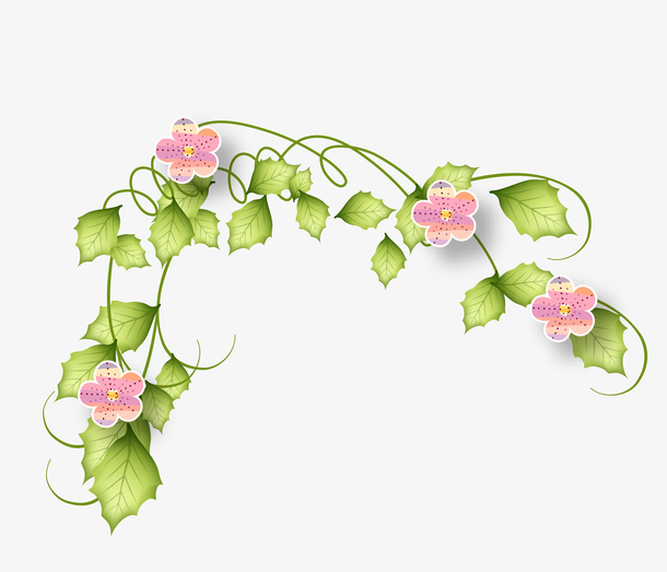 矢量花藤植物叶藤植物