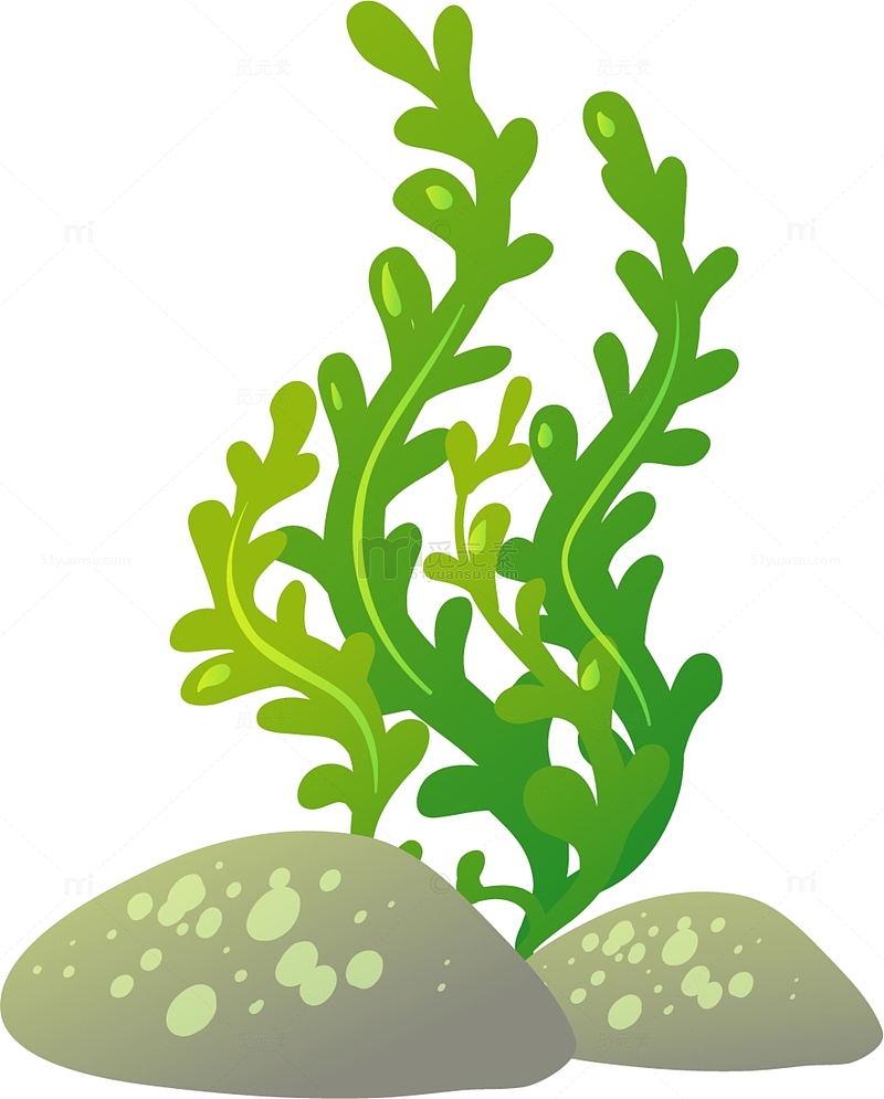 世界海洋日绿色海藻