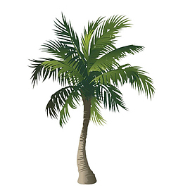 手绘棕树素材图
