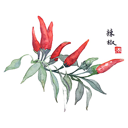 一串辣椒