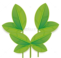 热带植物叶子飘动的叶子