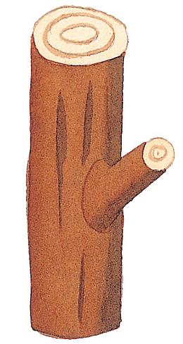 手绘扁平化棕色干枯树干