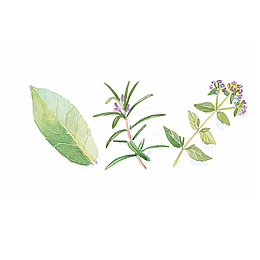 手绘清新水彩迷迭香薄荷香菜插画
