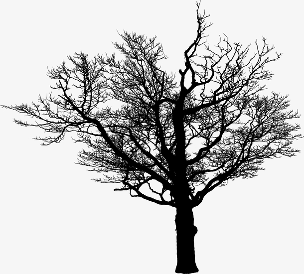 植物,干枯树枝,小树,枝条,荒凉,枯死,树枝,枯树[声明] 觅元素所有素材