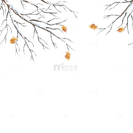 冬季植物