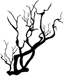 黑色线条树枝
