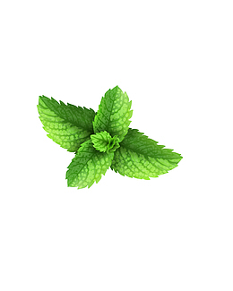 绿色清新小草