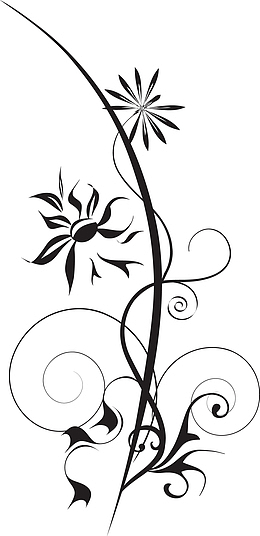 植物