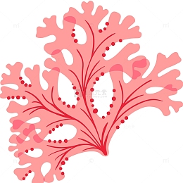 粉色水生海藻矢量插画