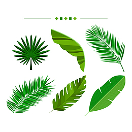 绿色棕榈树叶矢量图