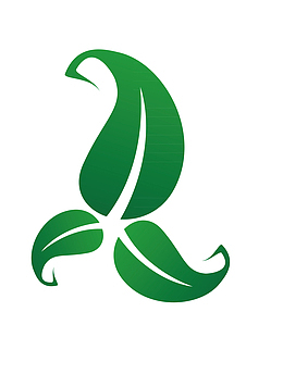 大叶子植物单片叶子