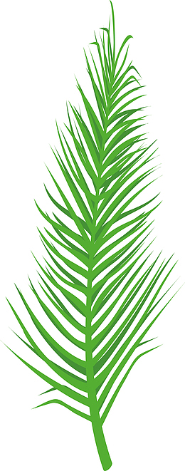 绿色植物棕榈叶素材图