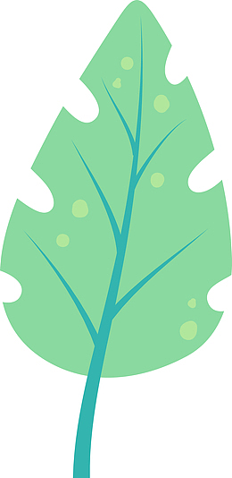 热带植物棕榈叶素材图
