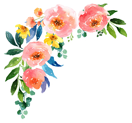 水彩花朵