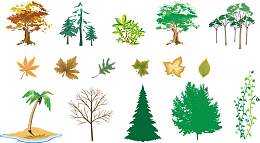 矢量各种彩色树与叶子