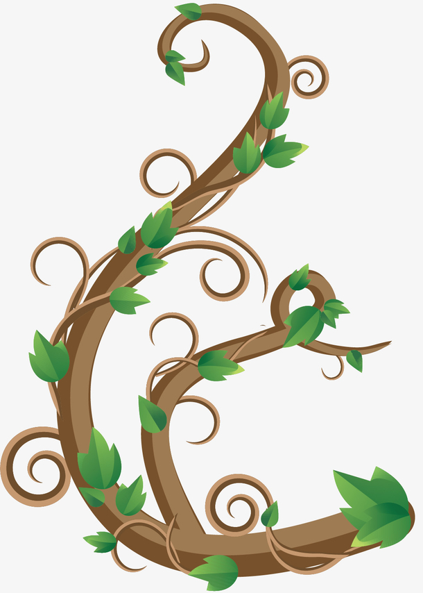 卷曲迷你木质藤蔓