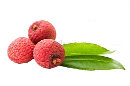 红色新鲜带长叶子的荔枝实物