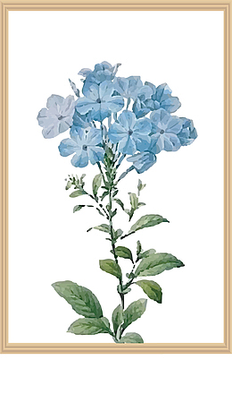 创意水彩花卉装饰插画