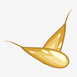 两粒金黄色闪亮亮交叉形饱满小麦