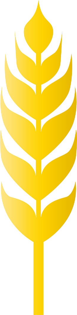 麦穗谷物手绘矢量图