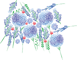 蓝色绣球花