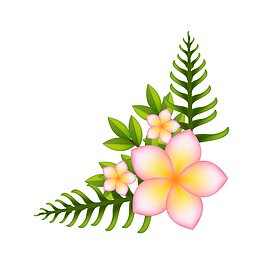 红色鸡蛋花植物矢量图
