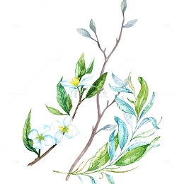 清新水彩花朵叶子矢量素材