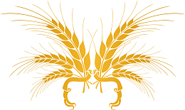 农作物小麦矢量图