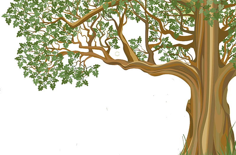 卡通艺术手绘树木古榕树装饰画