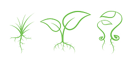手绘绿色简笔画植物