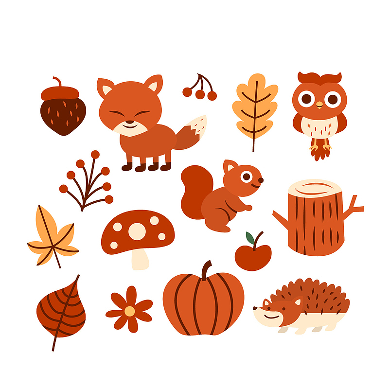 可爱秋季动物和植物矢量图